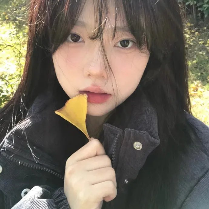 野性的邂逅粤语