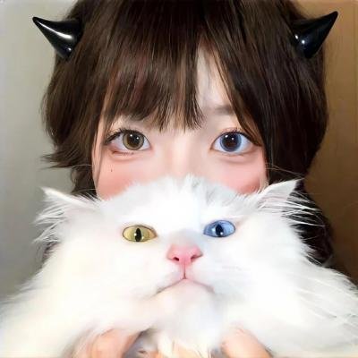 红狐