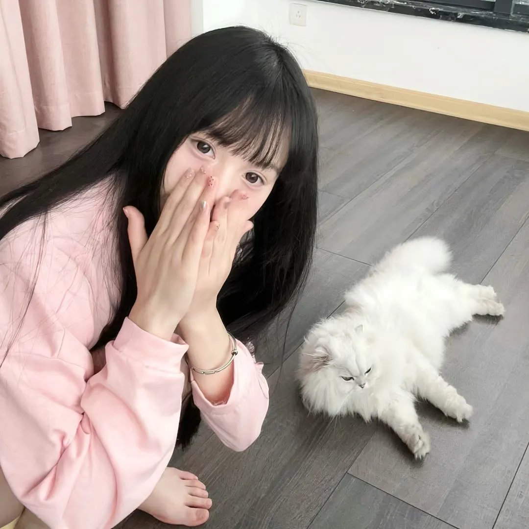 老虎连